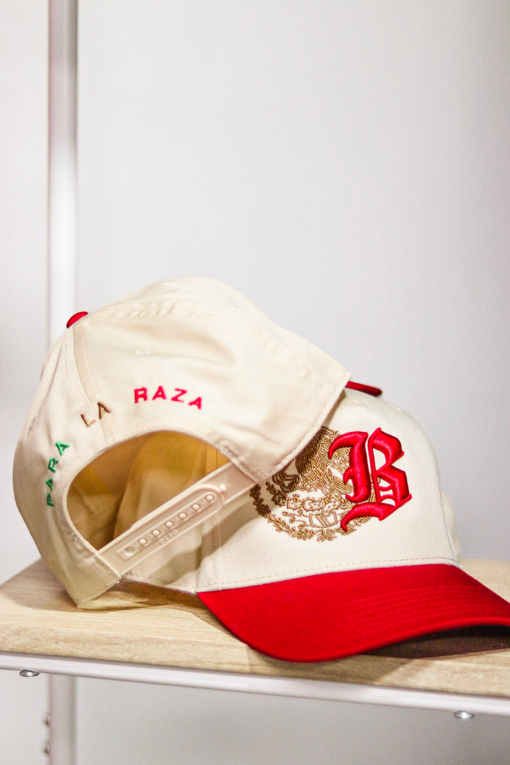 Para La Raza (5 Panel)